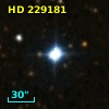 HD 229181