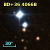 BD+36  4066B