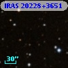 IRAS 20228+3651