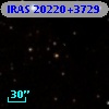 IRAS 20220+3729