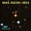 IRAS 20239+3651