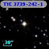 TYC 3739-242-1