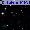 Cl* Berkeley   86     DN      58