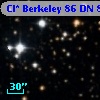 Cl* Berkeley   86     DN      81