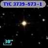 TYC 3739-873-1