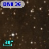 DWB  36