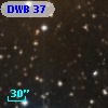 DWB  37