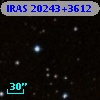 IRAS 20243+3612