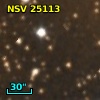 NSV 25113