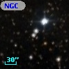 NGC  6913   113