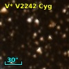 V* V2242 Cyg