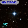 HD 229042
