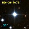 BD+36  4075