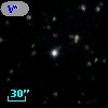 V* V445 Cyg