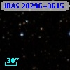 IRAS 20296+3615