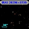 IRAS 20296+3739