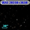 IRAS 20310+3610