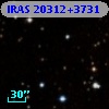 IRAS 20312+3731