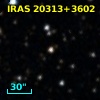 IRAS 20313+3602
