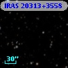 IRAS 20313+3558