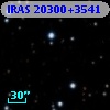 IRAS 20300+3541