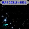 IRAS 20313+3531