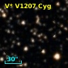 V* V1207 Cyg