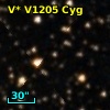 V* V1205 Cyg