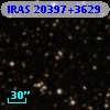 IRAS 20397+3629
