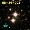 BD+36  4202