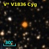 V* V1836 Cyg