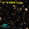 V* V1844 Cyg