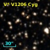V* V1206 Cyg