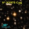 V* V1975 Cyg