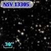 NSV 13305