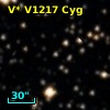 V* V1217 Cyg