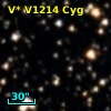 V* V1214 Cyg