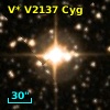 V* V2137 Cyg