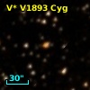 V* V1893 Cyg