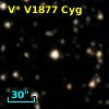 V* V1877 Cyg