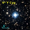 V* Y Cyg