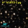 V* V1873 Cyg