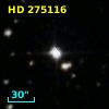 HD 275116