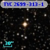 TYC 2699-313-1