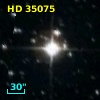 HD  35075