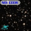 NSV 13338