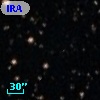 IRAS 09036-3619