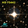 HD  75442