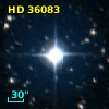 HD  36083
