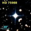 HD  75988